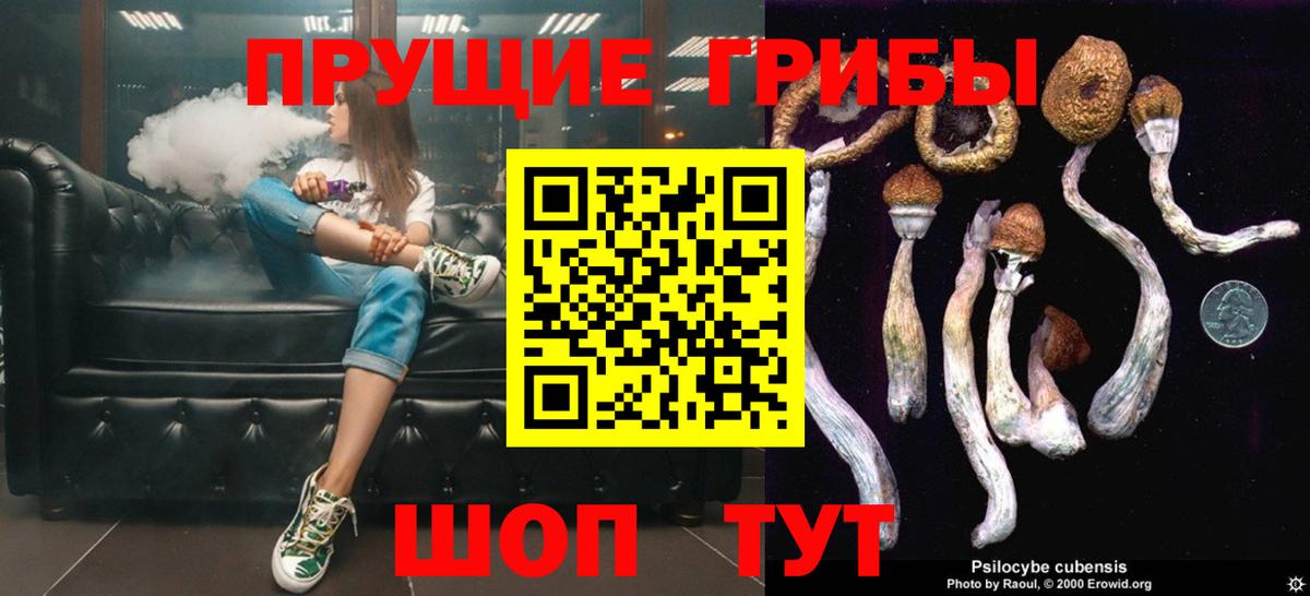 Галлюциногенные грибы прущие грибы Химки