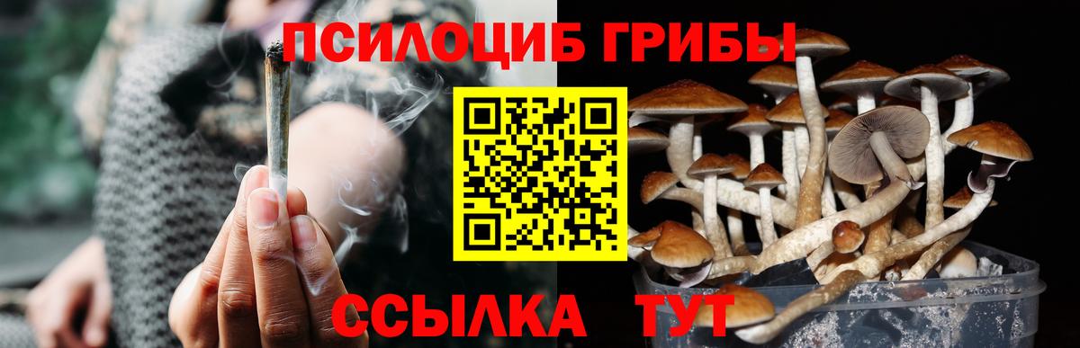 Галлюциногенные грибы Psilocybine cubensis  Вход с VPN  Химки  Галлюциногенные грибы Magic Shrooms 